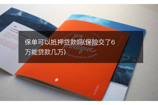 保单可以抵押贷款吗(保险交了6万能贷款几万)