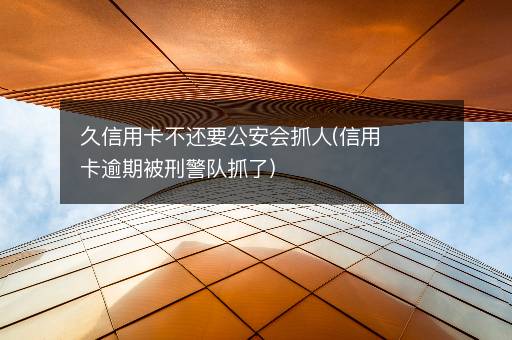 久信用卡不还要公安会抓人(信用卡逾期被刑警队抓了)