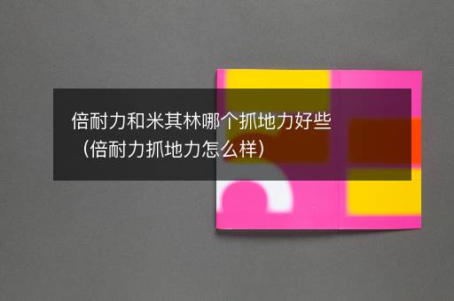 倍耐力和米其林哪个抓地力好些（倍耐力抓地力怎么样）