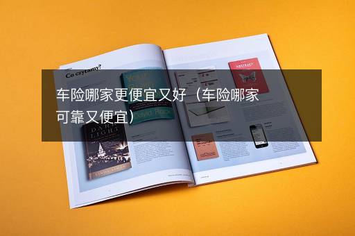 车险哪家更便宜又好（车险哪家可靠又便宜）